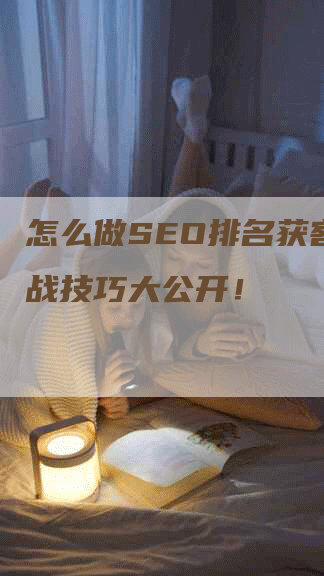 怎么做SEO排名获客？实战技巧大公开！