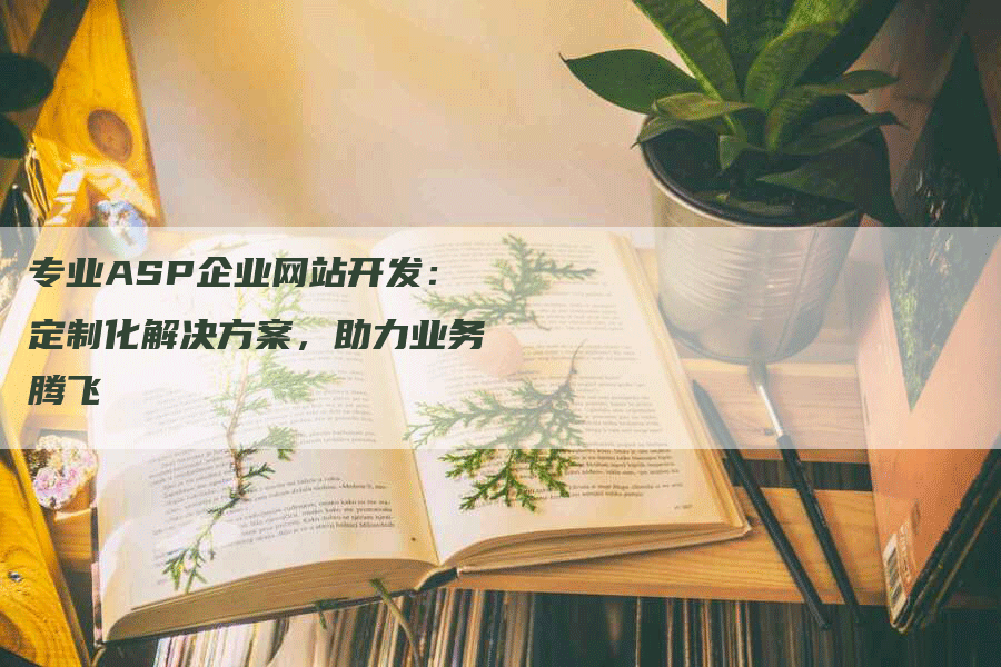 专业ASP企业网站开发：定制化解决方案，助力业务腾飞