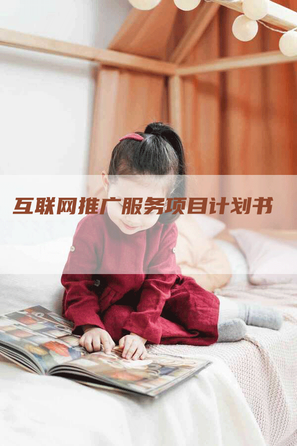 互联网推广服务项目计划书