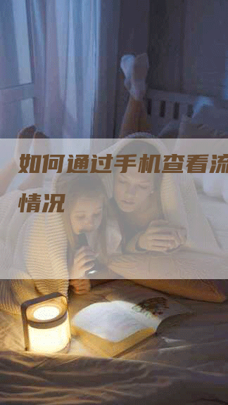 如何通过手机查看流量使用情况