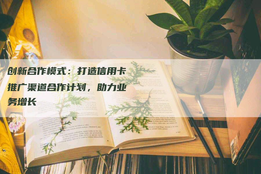 创新合作模式：打造信用卡推广渠道合作计划，助力业务增长