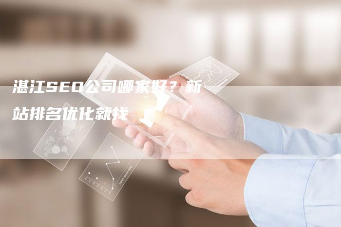 湛江SEO公司哪家好？新站排名优化就找