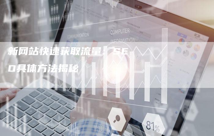 新网站快速获取流量：SEO具体方法揭秘