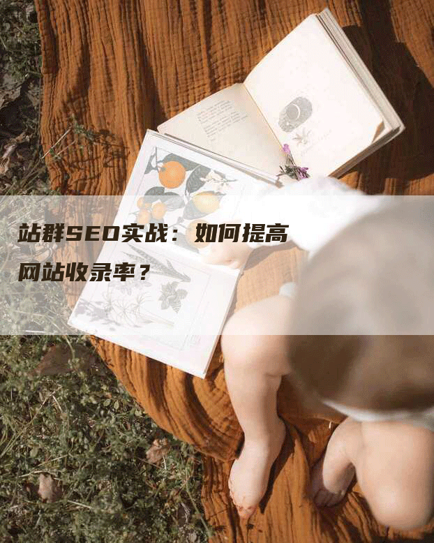 站群SEO实战：如何提高网站收录率？