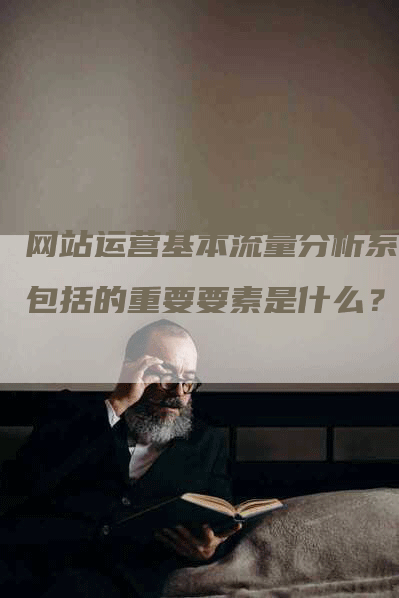 网站运营基本流量分析系不包括的重要要素是什么？