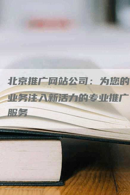 北京推广网站公司：为您的业务注入新活力的专业推广服务