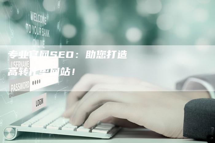 专业官网SEO：助您打造高转化率网站！