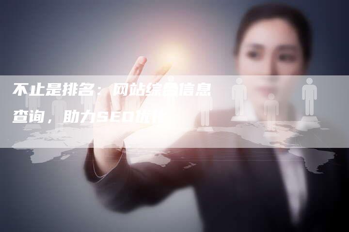 不止是排名：网站综合信息查询，助力SEO优化