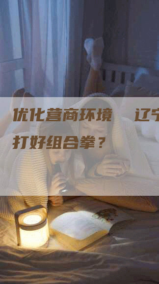 优化营商环境  辽宁如何打好组合拳？