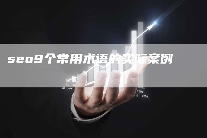 seo9个常用术语的实际案例