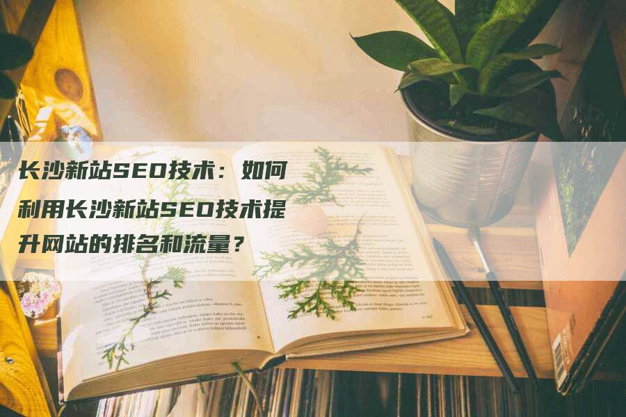 长沙新站SEO技术：如何利用长沙新站SEO技术提升网站的排名和流量？