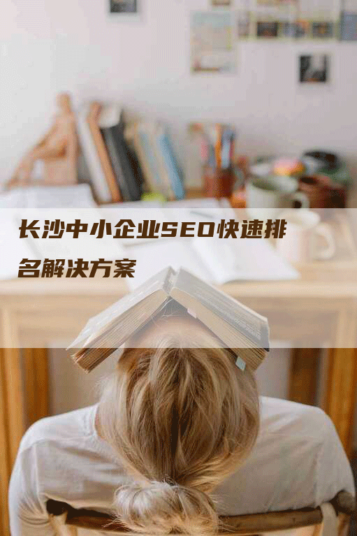 长沙中小企业SEO快速排名解决方案