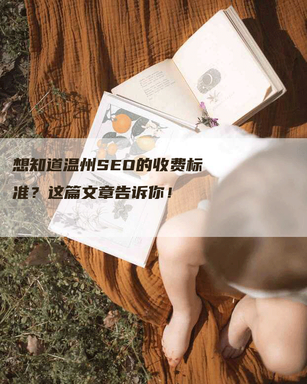 想知道温州SEO的收费标准？这篇文章告诉你！