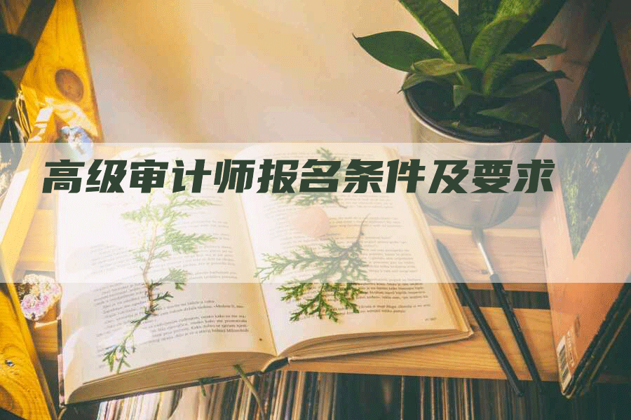 高级审计师报名条件及要求