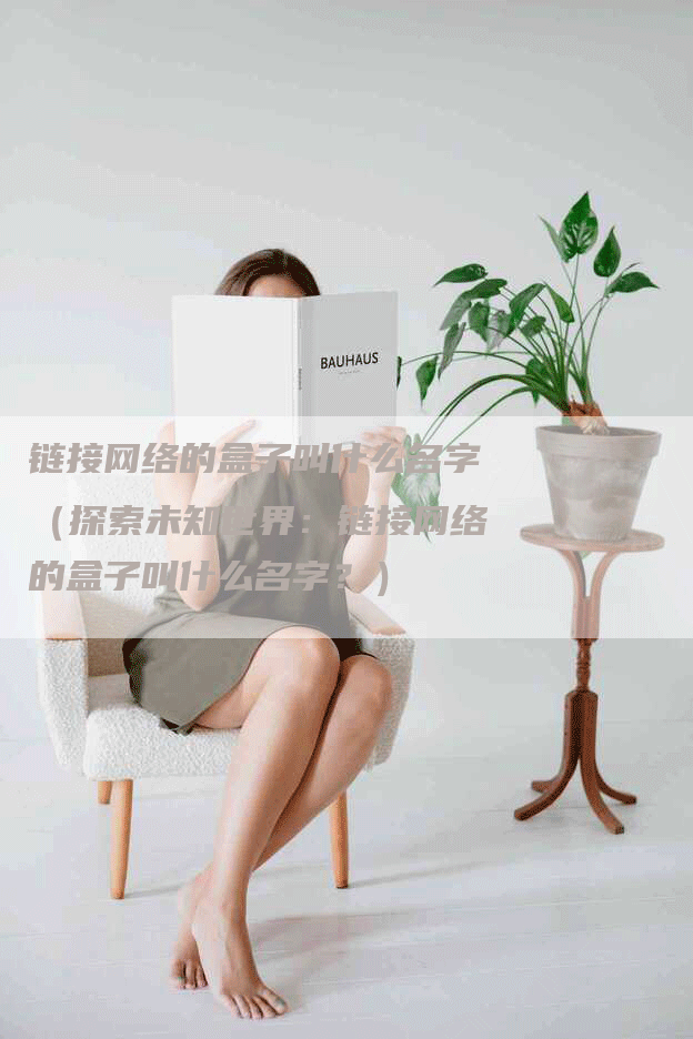 链接网络的盒子叫什么名字（探索未知世界：链接网络的盒子叫什么名字？）