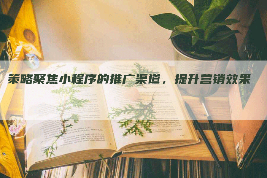 策略聚焦小程序的推广渠道，提升营销效果