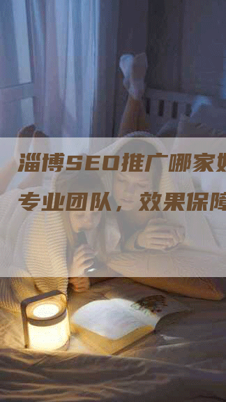 淄博SEO推广哪家好点？专业团队，效果保障！