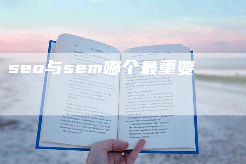 seo与sem哪个最重要