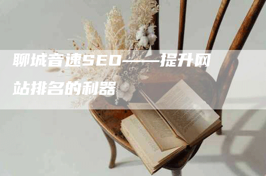 聊城音速SEO——提升网站排名的利器