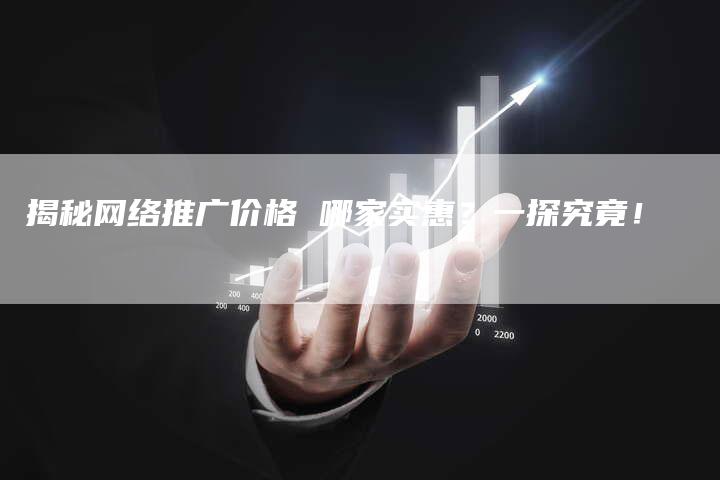 揭秘网络推广价格 哪家实惠？一探究竟！