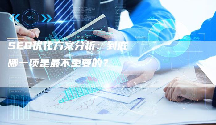 SEO优化方案分析：到底哪一项是最不重要的？