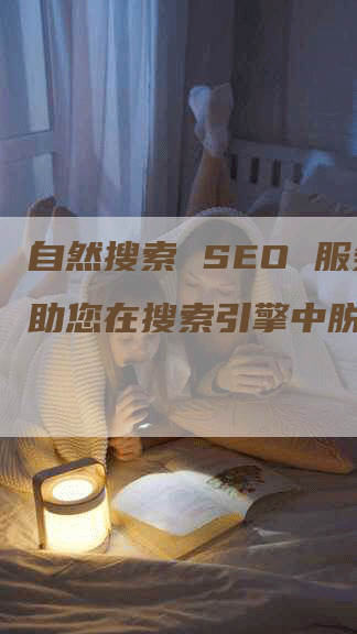 自然搜索 SEO 服务：助您在搜索引擎中脱颖而出