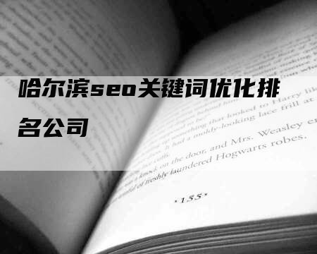 哈尔滨seo关键词优化排名公司