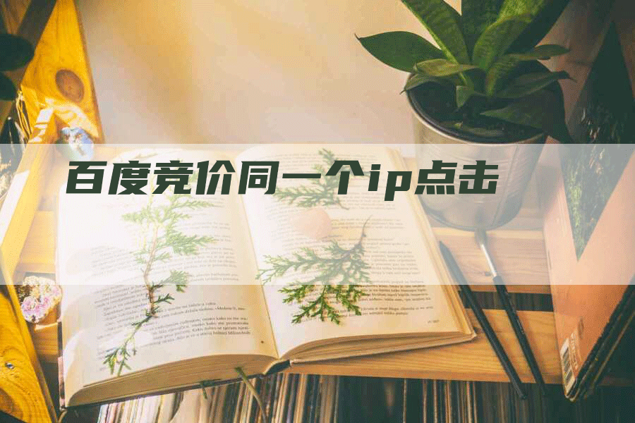 百度竞价同一个ip点击