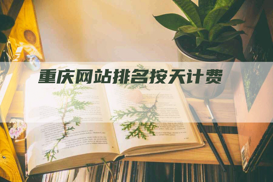 重庆网站排名按天计费