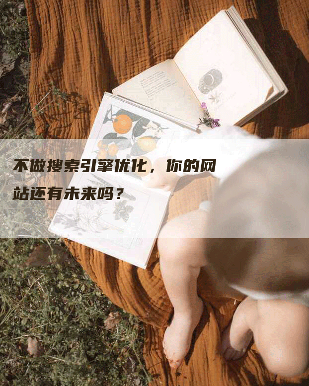 不做搜索引擎优化，你的网站还有未来吗？