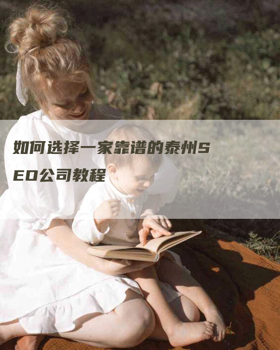 如何选择一家靠谱的泰州SEO公司教程